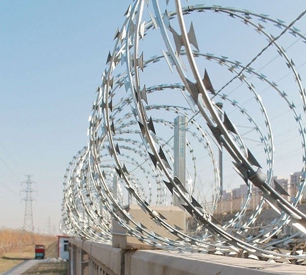 電子Galvanized1.5mmx1.5mmダイヤモンドによって溶接されるかみそりの金網 3