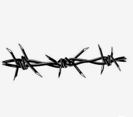 China manufacture wholesale barb wire in sri lanka hot dipped galvanized barbed wire roll price fence