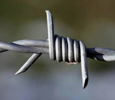 China manufacture wholesale barb wire in sri lanka hot dipped galvanized barbed wire roll price fence