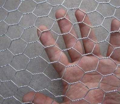 Galvanized hexagonal wire netting Iron wire mesh