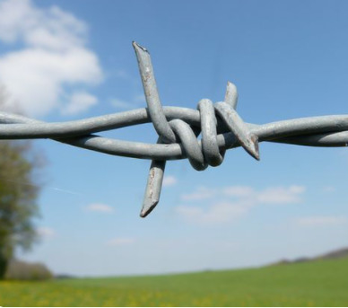 China manufacture wholesale barb wire in sri lanka hot dipped galvanized barbed wire roll price fence