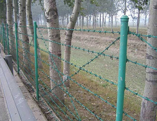 Hot Dipped Galvanized Barbed Wire Price Per Roll